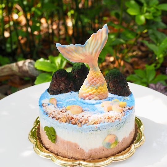6月21日ご予約開始！夏のひんやりローケーキ