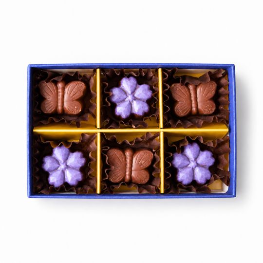 Raw chocolate gift box (2 pieces) [Dairy-free vegan chocolate]