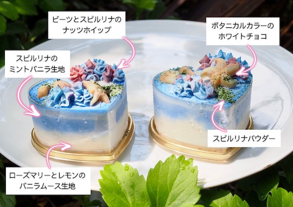 [Summer limited cool ice cream cake style] Limited time only! Hawaiian chocolate chip mint cheesecake "Summer Vacation!" [Vegan (no dairy products or eggs), gluten-free (no flour)]