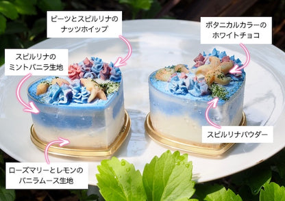 [Summer limited cool ice cream cake style] Limited time only! Hawaiian chocolate chip mint cheesecake "Summer Vacation!" [Vegan (no dairy products or eggs), gluten-free (no flour)]