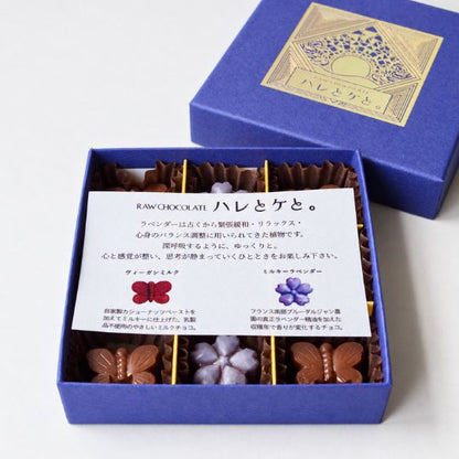 Raw chocolate gift box (2 pieces) [Dairy-free vegan chocolate]