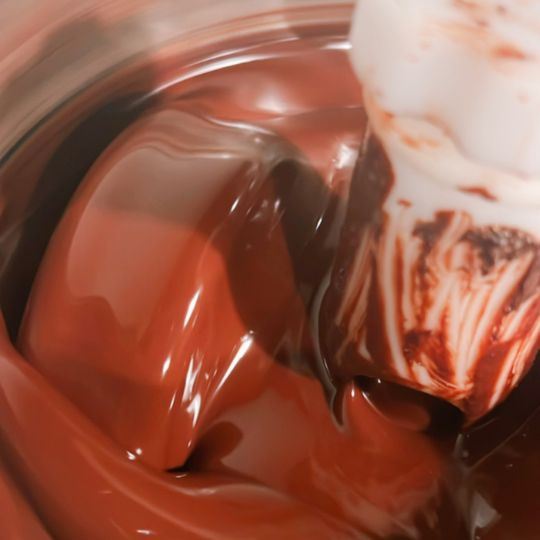 【送料込み】バリの兄貴ヴィラに届ける  お土産ショコラ開発プロジェクト【限定モニター】