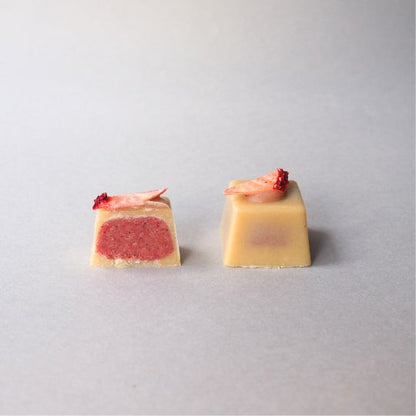 【12月上旬予約開始】ローチョコレートギフト9粒「和を以て貴しと為す。」 ー巡り、ひらく、陰陽五行ショコラー／手提げ袋付き