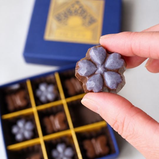 Raw chocolate gift box (2 pieces) [Dairy-free vegan chocolate]