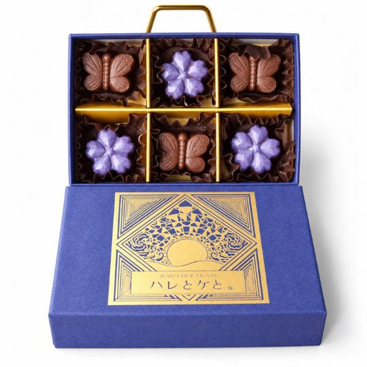 Raw chocolate gift box (2 pieces) [Dairy-free vegan chocolate]