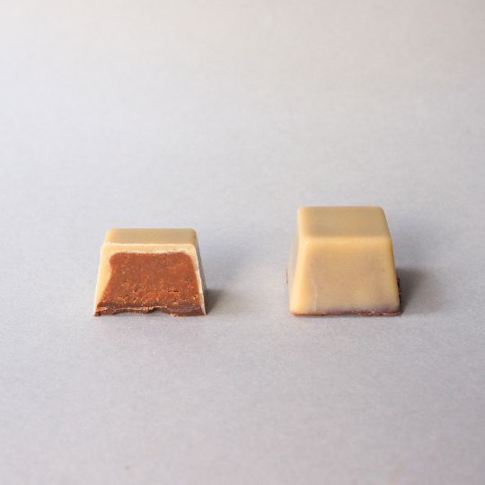 「和を以て貴しと為す」ローチョコレートギフト9粒 ー巡り、ひらく、陰陽五行ショコラー／手提げ袋付き