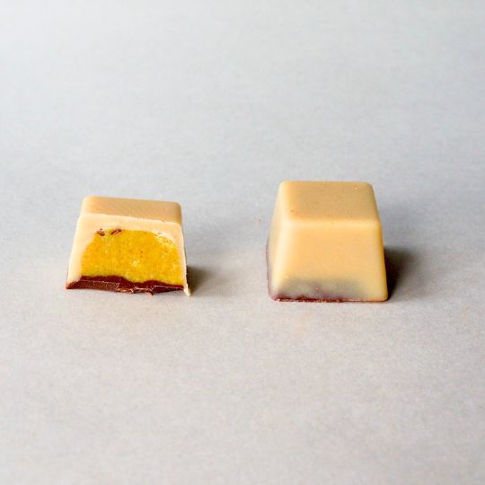 【12月上旬予約開始】ローチョコレートギフト9粒「和を以て貴しと為す。」 ー巡り、ひらく、陰陽五行ショコラー／手提げ袋付き