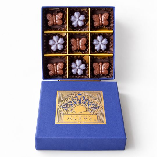 Raw chocolate gift box (2 pieces) [Dairy-free vegan chocolate]