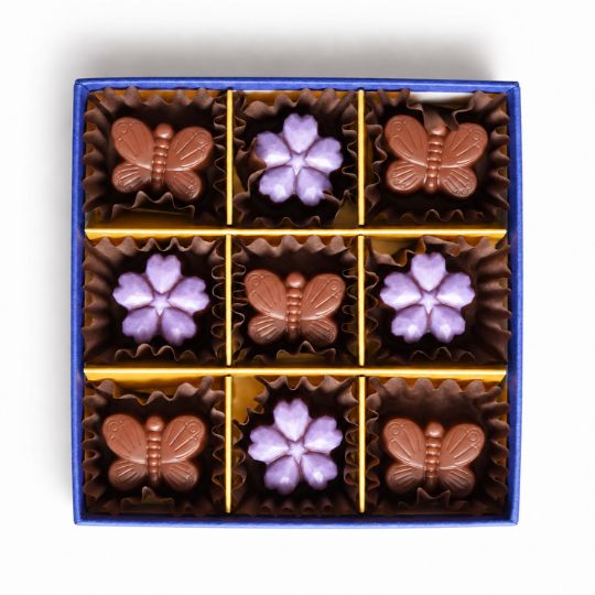Raw chocolate gift box (2 pieces) [Dairy-free vegan chocolate]
