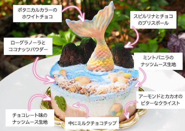 【6月21日ご予約開始】ハワイアンなチョコチップミントケーキ