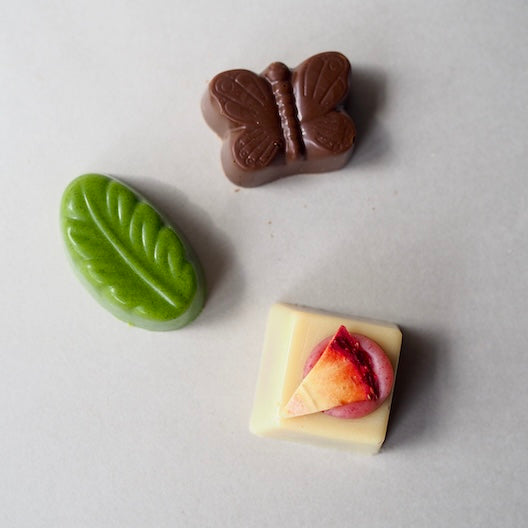 【ご自宅用】季節をめぐるローチョコレート6粒セット—Season of Energy