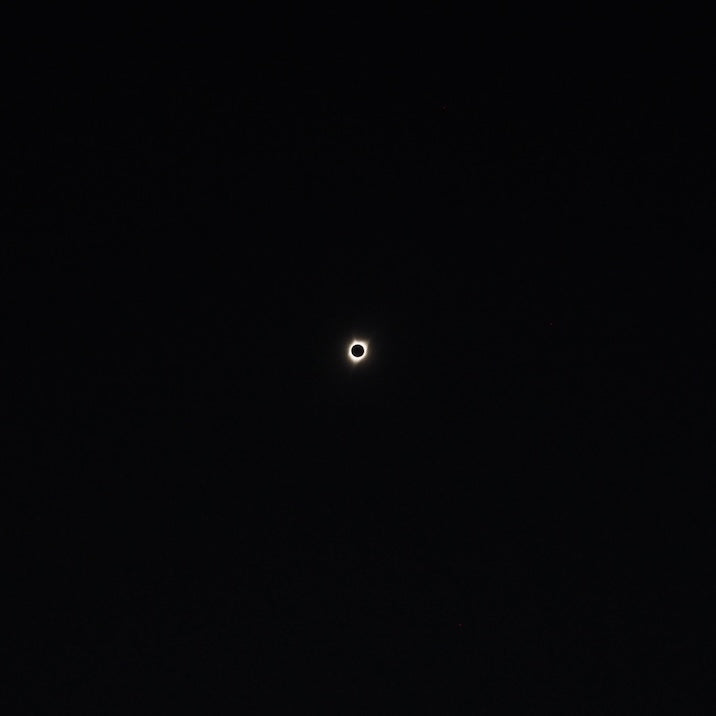 Scheduled to be held from 14:00 on July 30th! World Bingo Tournament Bingo Card [Online Participation Ticket]