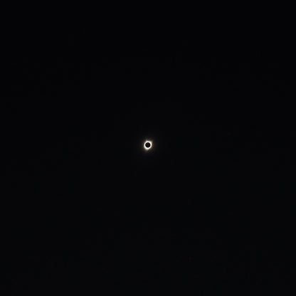 Scheduled to be held from 14:00 on July 30th! World Bingo Tournament Bingo Card [Online Participation Ticket]