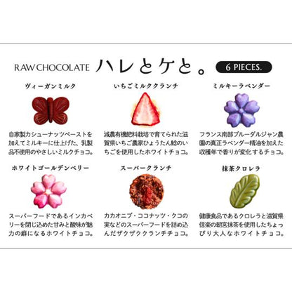 ローチョコレート6粒アソートギフト