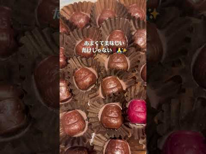 [Corporate Plan] Daruma Raw Chocolate (Chocolate Souvenir with a Special Prayer - Goma Fire Ritual)
