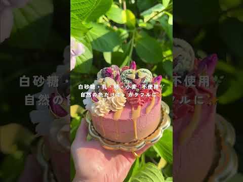 選べる数字のアニバーサリーローケーキ【受注制作】