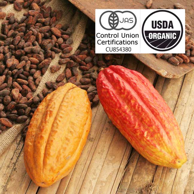 児童労働や不当な労働のない契約農家で育てられたフェアトレードカカオでチョコレートを手作り