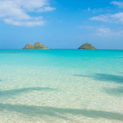 ハワイのオアフ島のラニカイビーチをテーマにしたヴィーガンケーキ