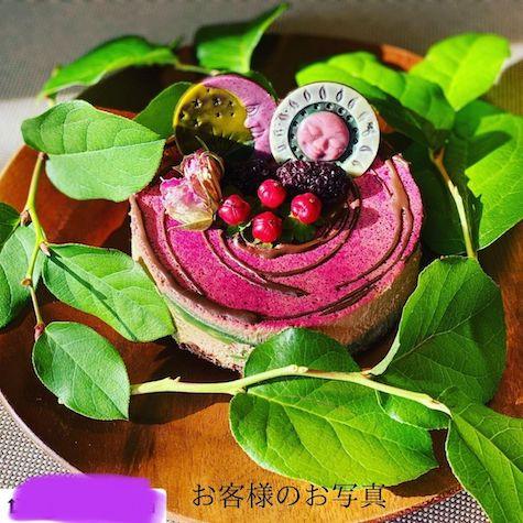 スーパーフードで栄養たっぷりのカラフルなローチョコレートケーキ