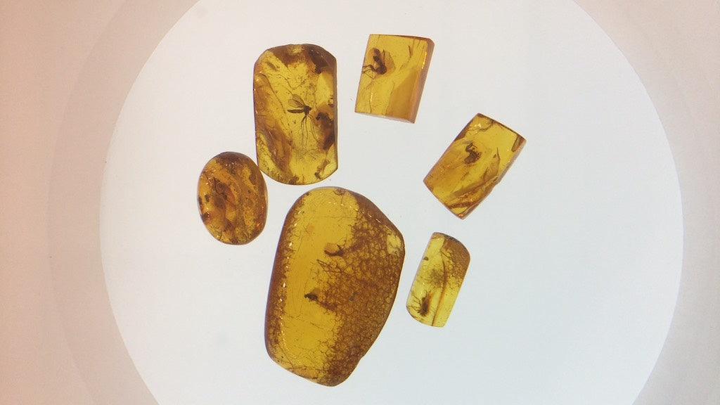 リトアニアの琥珀ピアスと草木染めコットン巾着【ヴィーガン】 - ロースイーツ通販サイト ハレトケト