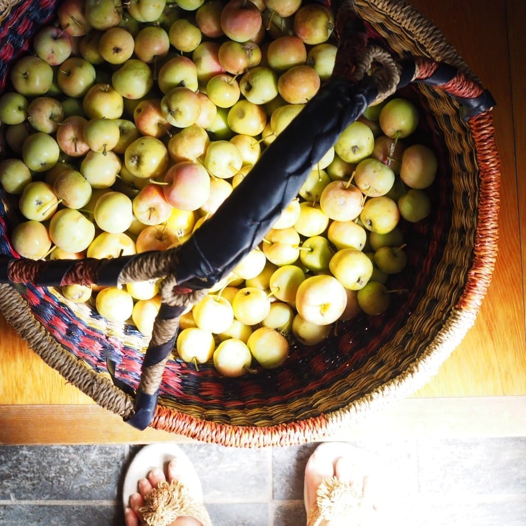 オススメのロースイーツ通販サイトHareto-Ketoで和りんごのチョコレートを全国からお取り寄せ