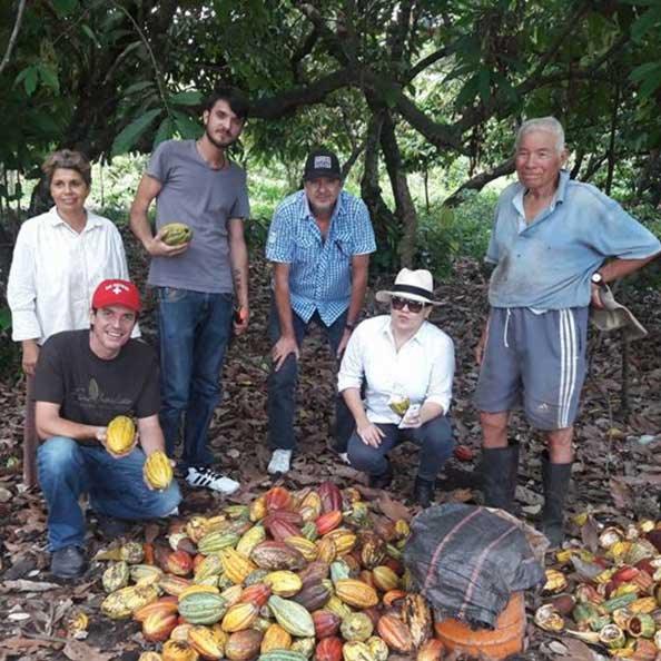 カミーノベルデ農園のオーガニックカカオ。ダンデライオン・チョコレートでも人気の農園。